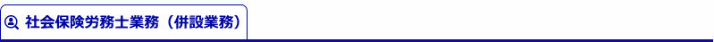 社会保険労務士業務（併設業務）